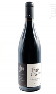 Les terres chaudes - Thierry Germain - Domaine des Roches Neuves - 2017 - Rouge