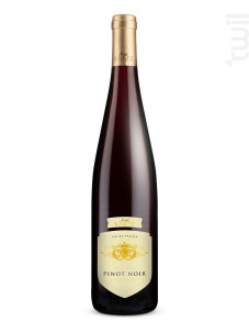 Pinot Noir - Michel Kurtz - 2022 - Rouge
