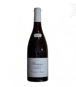BOURGOGNE Chardonnay - Domaine Etienne Sauzet - 2015 - Blanc