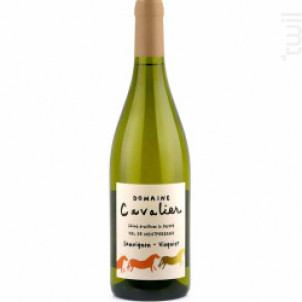 Domaine Cavalier Sauvignon-Viognier - Château de Lascaux - 2023 - Blanc