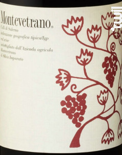 Colli di Salerno Montevetrano - Montevetrano - 2005 - Rouge