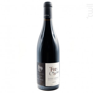 Les terres chaudes - Thierry Germain - Domaine des Roches Neuves - 2017 - Rouge