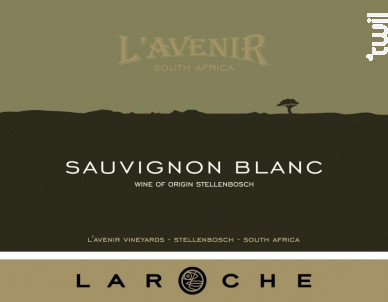 Sauvignon Blanc - Domaine de l'Avenir - 2005 - Blanc