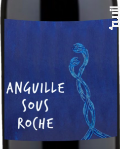 Anguille Sous Roche - Domaine de La Paleine - 2018 - Rouge