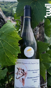 Chardonnay - Domaine du Loup des Vignes - 2019 - Blanc