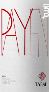 Payen - Syrah Cabernet Franc - TABALI - 2018 - Rouge