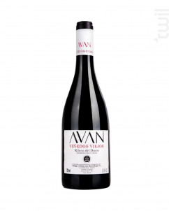 Avan Viñedos Viejos - Bodegas y Viñedos Juan Manuel Burgos - 2022 - Rouge