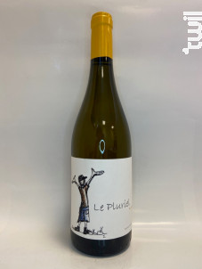 Le Pluriel - Clos des Boutes - 2022 - Blanc