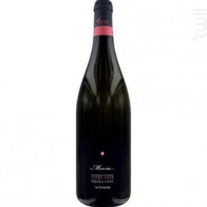 Mmm... Pinot Noir - FOURNIER Père & Fils - 2017 - Rouge