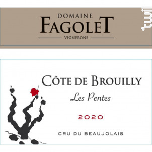 Les Pentes - Domaine Le Fagolet - 2020 - Rouge