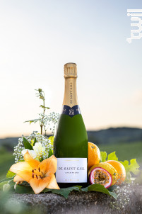 Le Tradition Premier Cru - Champagne de Saint-Gall - Non millésimé - Effervescent
