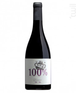 100% Côtes du Rhône - Xavier Vignon - 2016 - Rouge
