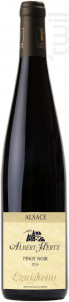 Pinot Noir Côtes d’Eguisheim - Albert Hertz - 2016 - Rouge