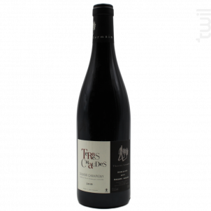 Les terres chaudes - Thierry Germain - Domaine des Roches Neuves - 2019 - Rouge