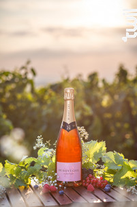 Le Rosé Premier Cru - Champagne de Saint-Gall - Non millésimé - Effervescent