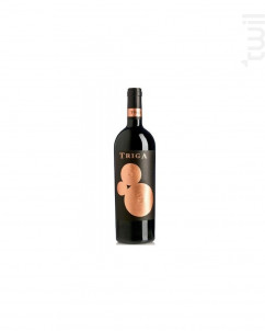 Triga - Bodegas Volver - 2021 - Rouge