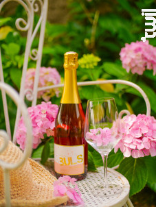 Bul's - Clos Triguedina - Non millésimé - Effervescent