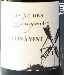 Moulin à vent - Domaine des Chaffangeons - 2023 - Rouge