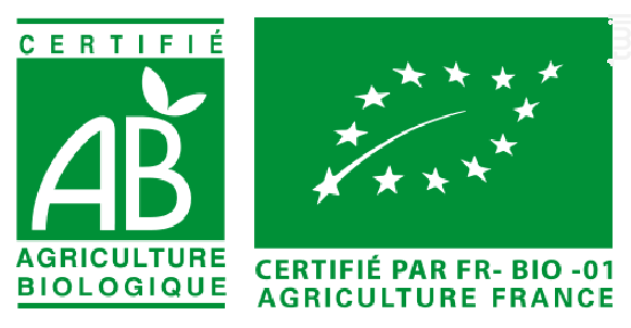 Le Sang des Pierres - Parcellaire BIO - Domaine Martinolle-Gasparets - 2020 - Rouge