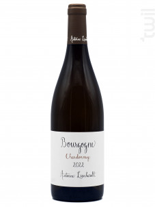Bourgogne Chardonnay - Domaine Antoine Lienhardt - 2022 - Blanc