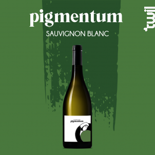 Pigmentum Sauvignon Blanc - Georges Vigouroux - Pigmentum - 2021 - Blanc