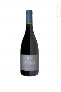 Bergide - Domaine Saint Guéry - 2022 - Rouge