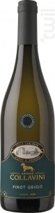 Villa Canlungo Pinot Grigio - Eugenio Collavini - Non millésimé - Blanc