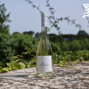 Aventure - Château d'Astros - 2020 - Blanc
