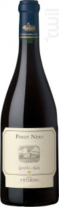 Pinot Nero - Castello della Sala - Antinori - Non millésimé - Rouge