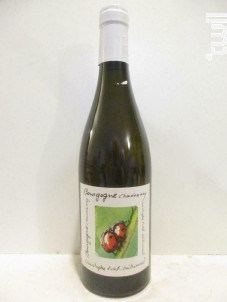 Bourgogne Chardonnay - Christophe Violot-Guillemard - Clos Orgelot - 2007 - Blanc
