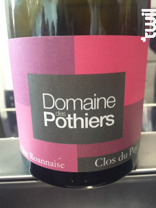 Clos du Puy - DOMAINE DES POTHIERS - 2021 - Rouge
