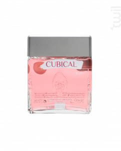 Cubical Premium Special Dry Gin Kiss - Williams&Humbert - Non millésimé - 