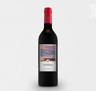 Pinot Noir - Domaine de Lastronques - 2023 - Rouge