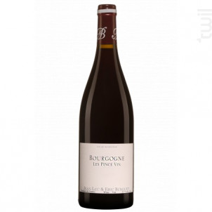 Bourgogne Pinot Noir Les Pince Vin - Domaine Alain Burguet - Non millésimé - Rouge