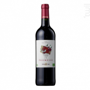 Promesse De Dourthe Bio - Dourthe - 2020 - Rouge