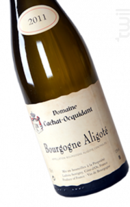 Bourgogne Aligoté - Domaine Cachat-Ocquidant - 2017 - Rouge