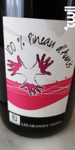 100%  Pineau d'Aunis - Domaine les Grandes Vignes - 2022 - Rouge