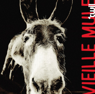 Vieille Mule By Jeff Carrel - Jeff Carrel - 2019 - Rouge