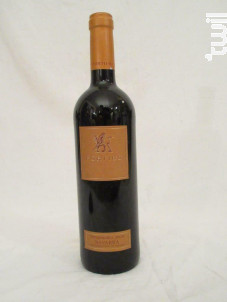 Fortus - Bodega Valcarlos - 2008 - Rouge