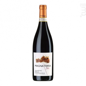 Amarone della Valpolicella - Magna Terra Italica - 2017 - Rouge