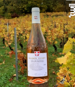 Vin de Savoie Rosé Tradition - DOMAINE UCHET - 2019 - Rosé