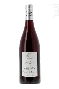 Reuilly Les Lignis - Domaine Valéry Renaudat - 2021 - Rouge