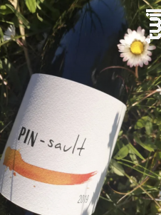 PIN-sault - Domaine Pégaline - 2019 - Rouge