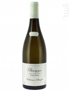 Bourgogne Chardonnay - Domaine Etienne Sauzet - 2021 - Blanc