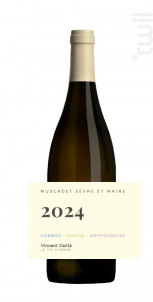 2024 - Domaine Le Fay d'Homme -  Vincent Caillé - 2024 - Blanc