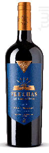 Flechas de los Andes - Gran Malbec - Domaine Edmond de Rothschild - 2020 - Rouge