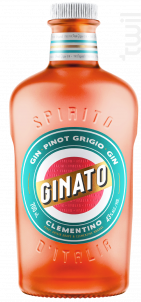 Gin Clémentino Orange - Ginato - Non millésimé - 