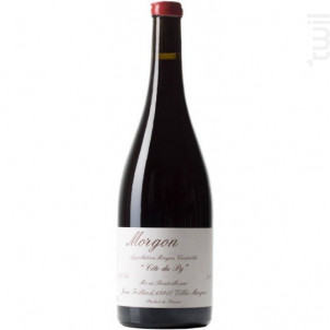Côte Du Py - Jean Foillard - 2023 - Rouge