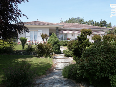 Château Courjaud - Les Souches - Les Vignerons de Tutiac - 2019 - Rouge