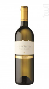 Pinot Bianco - Elena Walch - Non millésimé - Blanc